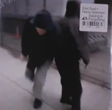 Vinyl SEEING IS FORGETTING