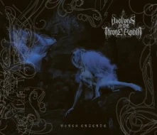 CD BLACK CASCADE