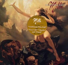 Vinyl The Divine Comedy