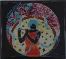 CD ANACONDA - SYMPATHY FOR THE MADMAN