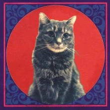 CD THEMSELVES - NO MUSIC OF AIFFS