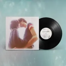 Vinyl ADULT ROMANTIX