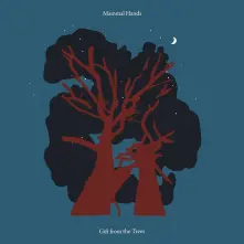 Vinyl GIFT FROM THE TREES