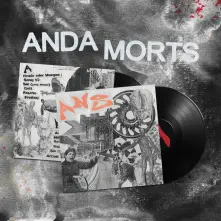 Vinyl ANS