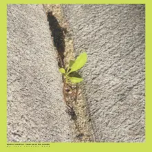 Vinyl CLOSE-UP ON THE OUTSIDE