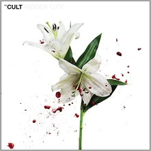 The Cult, CD HIDDEN CITY