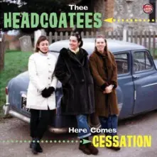 Vinyl HERE COMES CESSATION