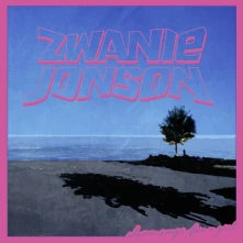 CD JONSON, ZWANIE - ELEVEN SONGS FOR A GIRL