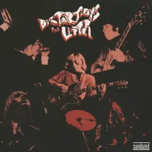 Vinyl DISTORTIONS