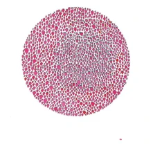 CD BROWN, JULIA - AN ABUNDANCE OF STRAWBERRIES