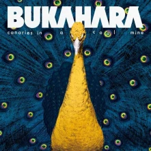 Vinyl BUKAHARA - CANARIES IN A COAL MINE