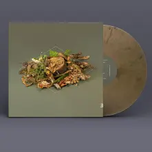 Vinyl FOREST FLOOR