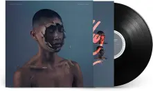 Vinyl THE VALLEY OF VISION