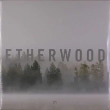 Vinyl ETHERWOOD - IN STILLNESS