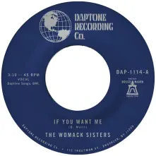 Vinyl 7-IF YOU WANT ME / I JUST DON T WANT YOU (TO SAY GOODBYE)