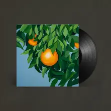 Vinyl FOR THE FIRST TIME, AGAIN