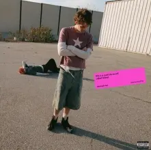 Vinyl hickey