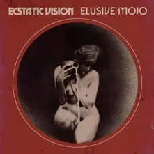 Vinyl ELUSIVE MOJO
