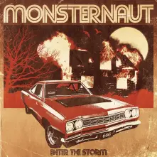 Vinyl Enter the Storm