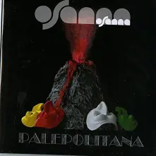 CD PALEPOLITANA