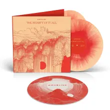 Vinyl THE BEAUTY OF IT ALL