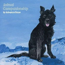 Advance Base, CD ADVANCE BASE - ANIMAL COMPANIONSHIP