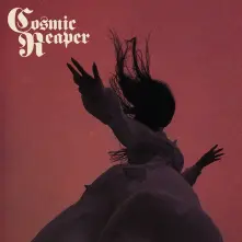 Vinyl BLEED THE WICKED, DROWN THE DAMNED