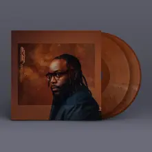 Vinyl NEW GOSPEL REVISITED