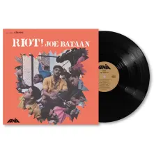 Vinyl RIOT!