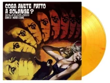 Vinyl COSA AVETE FATTO A SOLANGE?