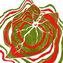 Vinyl RASPBERRY MOON