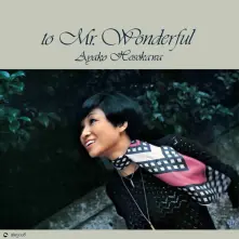 Vinyl MR. WONDERFUL
