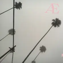Vinyl AE