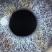 CD Moontower (Re-Issue)