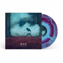 Vinyl THE THIRD SLEEP