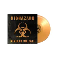Vinyl DIVIDED WE FALL