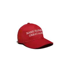 Make Slovakia Great Again thumbnail