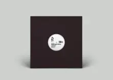 Brooklyn Funk Essentials, Vinyl TAKE THE L TRAIN (TO 8TH AVE.) (CALIBRE REMIX)