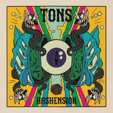 Vinyl HASHENSION