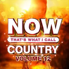 CD NOW THAT'S WHAT I CALL COUNTRY VOL.12