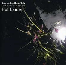 CD TRIO- - HOT LAMENT