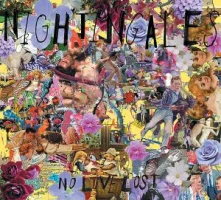 CD NIGHTINGALES - NO LOVE LOST