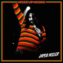 Vinyl MIXED UP MOODS