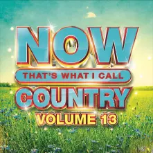 CD NOW THAT'S WHAT I CALL COUNTRY VOLUME 13