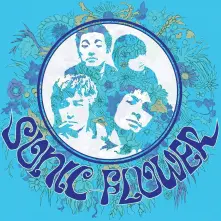 Vinyl SONIC FLOWER