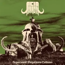 Vinyl SUPERSONIC MEGAFAUNA COLLISON
