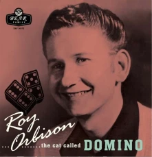 Vinyl CAT CALLED DOMINO