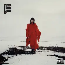 Vinyl HOW TO START A GARDEN