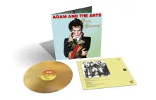 Vinyl Prince Charming
