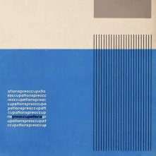 CD PREOCCUPATIONS - PREOCCUPATIONS